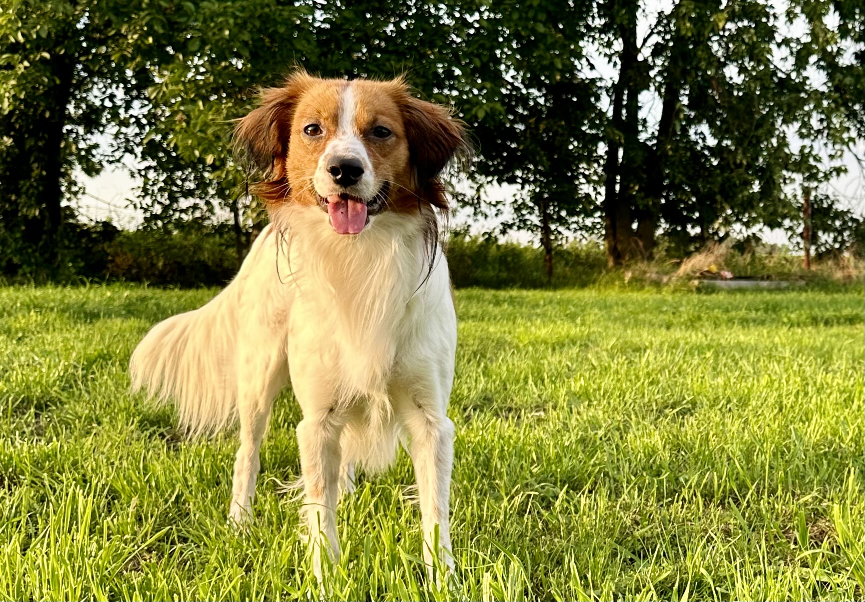 Geschützt: Das Markerwort